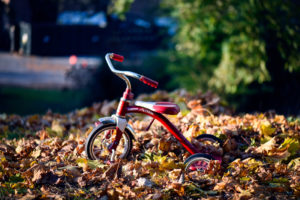 A red radio flyer tricycle sitting on a bed of multicolored, fall leaves, bathed in sunlight